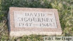 David Sigourney