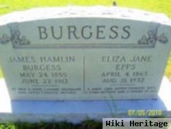 Eliza Jane Epps Burgess