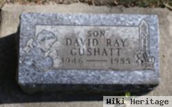 David Roy Cushatt