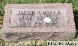 Jacob A. Bauer