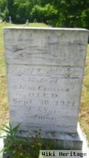 Mary E. Willard Crosier