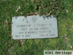 Andrew J. Trout