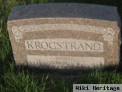 Mikal A Krogstrand