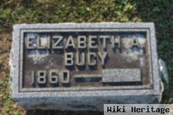 Elizabeth Ann Anderson Bucy