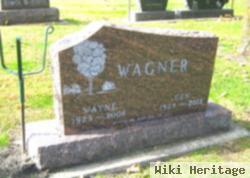 Wayne Curtis Wagner