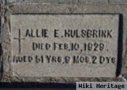 Allie E Hulsbrink