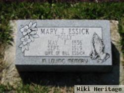 Mary Jane "polly" Davis Essick