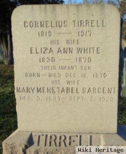 Mary Mehetabel Sargent Tirrell