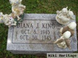 Diana J King