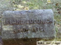 Leland Goodrich