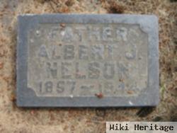 Albert J Nelson