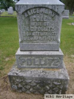 Alice Mary Cole Pollitz