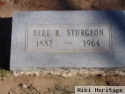 Bert R. Sturgeon