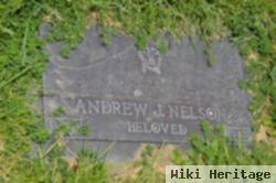 Andrew J. Nelson