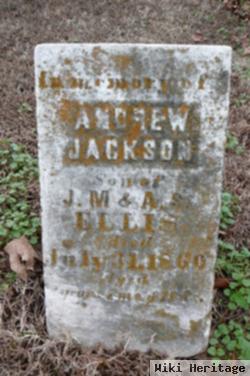 Andrew Jackson Ellis