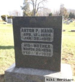 Anton P Hahn