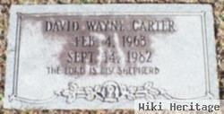 David Wayne Carter