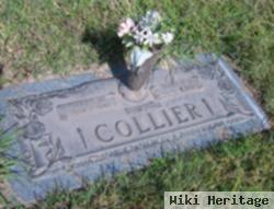 Nancy J Collier