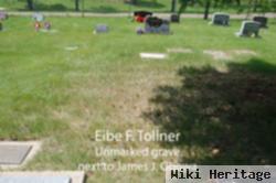 Eibe F Tollner