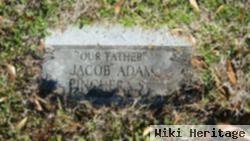 Jacob Adams Pinchera