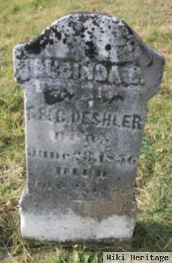 Alcinda L Deshler