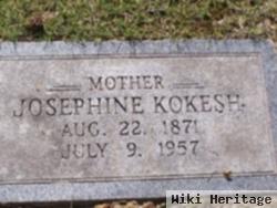 Josephine Kokesh