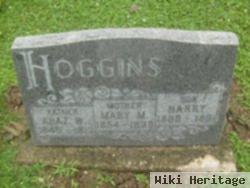 Harry Hoggins