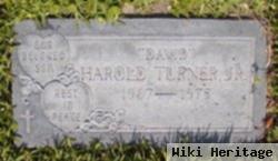 Harold Davis "david" Turner, Jr