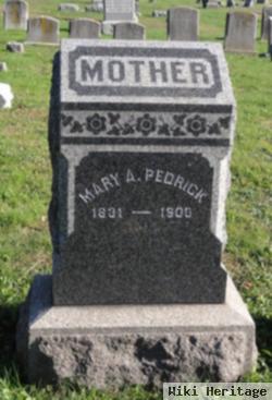 Mary Ann Bee Pedrick