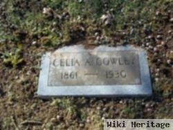 Celia Ann Stewart Cowley