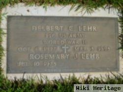 Delbert C Lehr