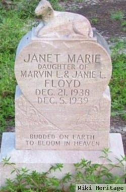 Janet Marie Floyd