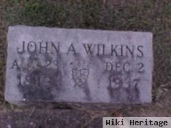 John Austin Wilkins