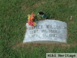 William Harvey Wilson