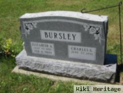 Elizabeth A Bursley