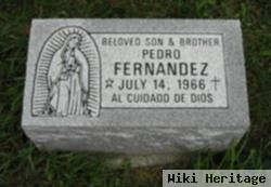 Pedro Fernandez