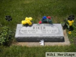 Harry Hudsion Riker, Jr