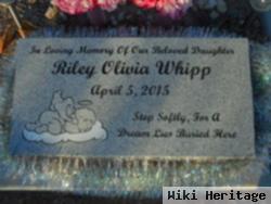 Riley Olivia Whipp