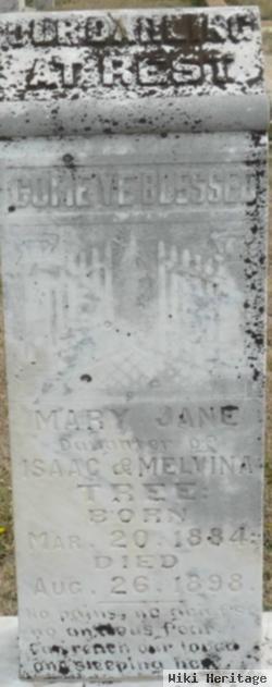 Mary Jane Tree