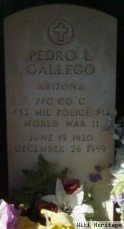 Pedro L Gallego