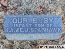 Infant Son Sparhawk