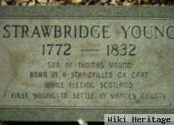 Strawbridge Young