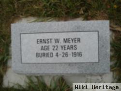 Ernst W Meyer