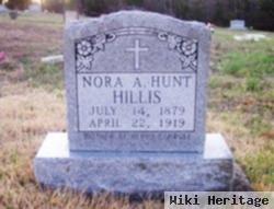 Nora Ann Hunt Hillis