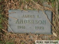 James A Anderson