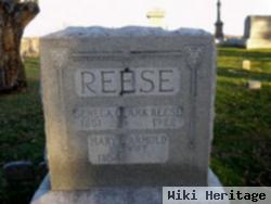 Mary E. Armold Reese