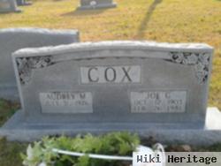 Joe G Cox