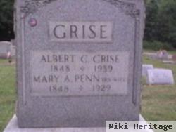 Mary Ann Penn Grise