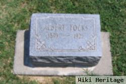 Albert G. Focks