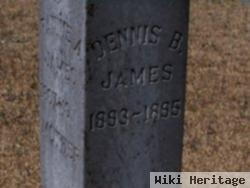 Dennis Burton James